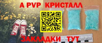 таблы Славгород