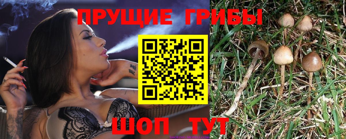 Псилоцибиновые грибы прущие грибы Самара