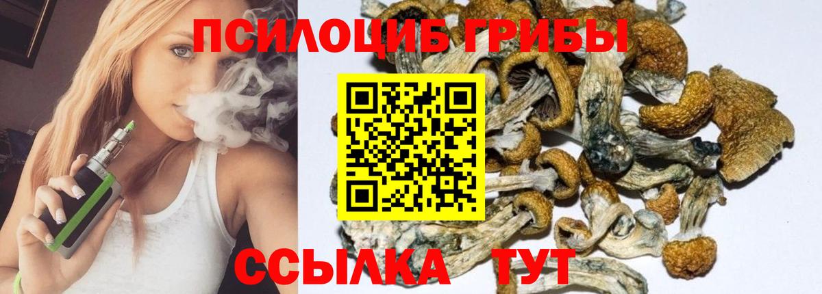 Галлюциногенные грибы Cubensis  Вход с VPN  Самара  Галлюциногенные грибы ЛСД 